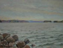 heinonen